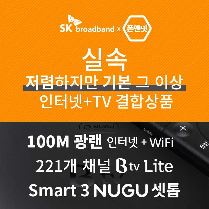 광랜 100M + B tv